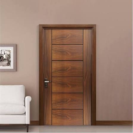 Flush Door